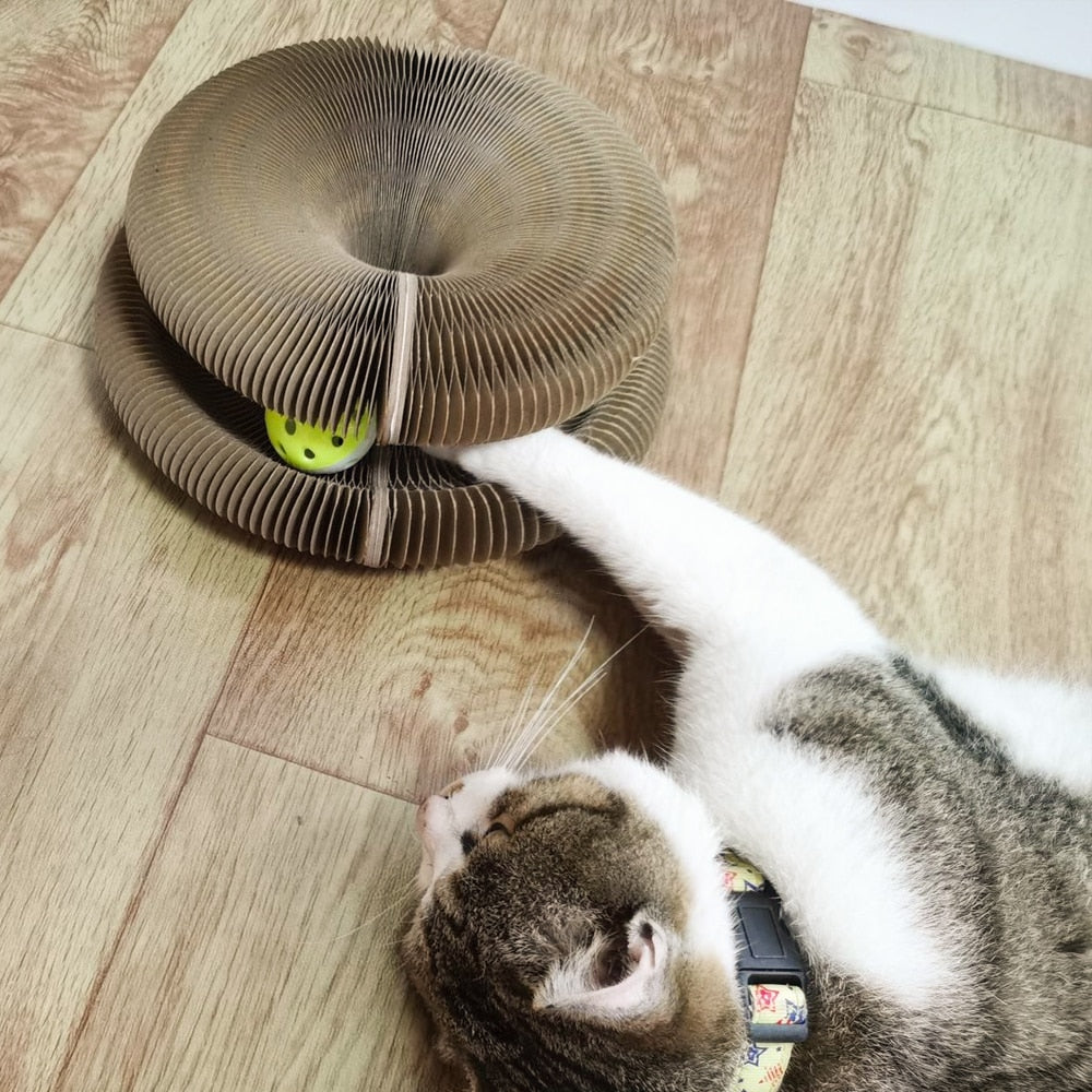 Katt skrapa bräda leksak