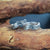 Änglare Wing Ring