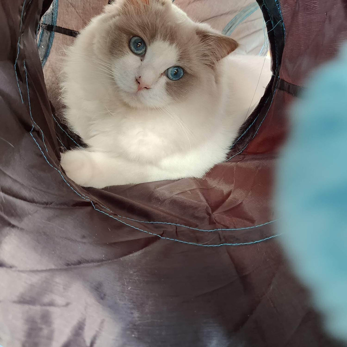 Fällbar Kattleksakstunnel