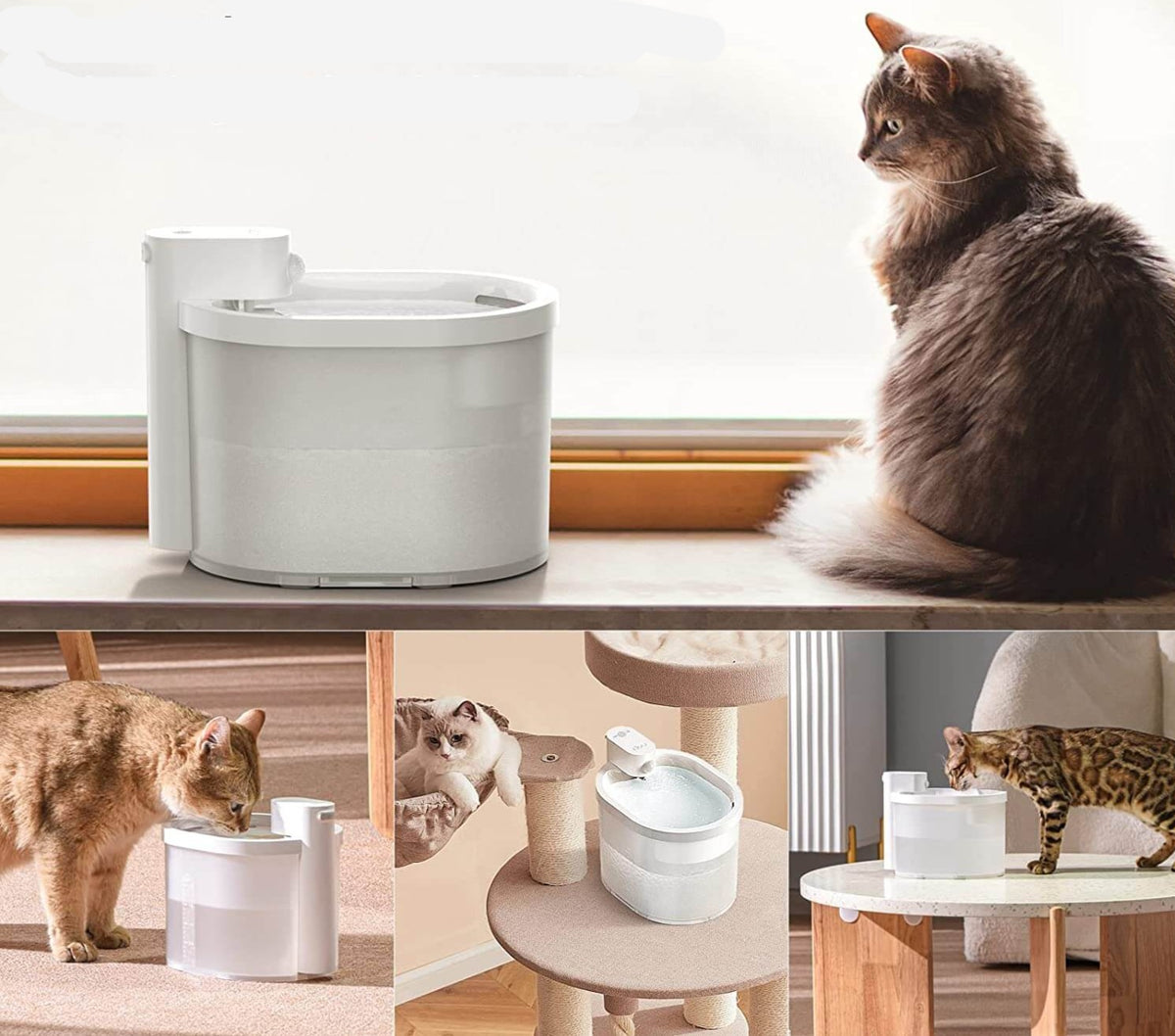 Smart Sensor Cat Vattenfontän