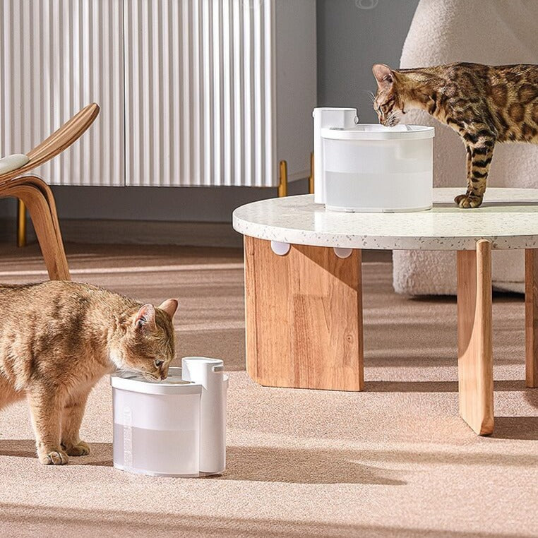 Smart Sensor Cat Vattenfontän
