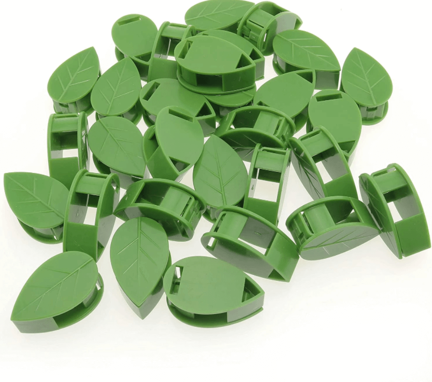 Klättring av växtklättrande artefakter fixeringsklämma