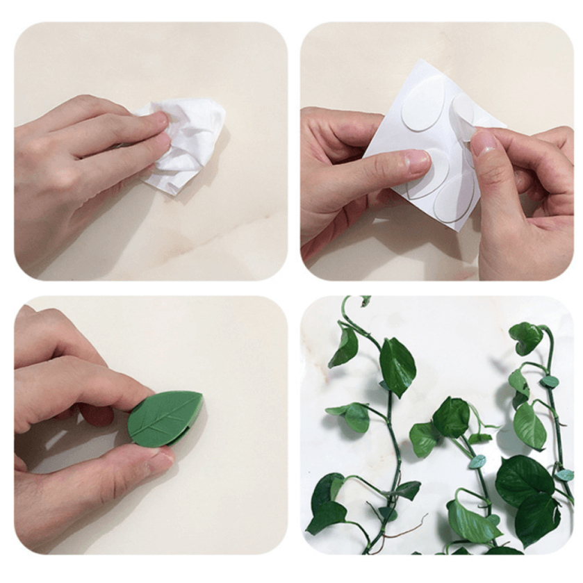 Klättring av växtklättrande artefakter fixeringsklämma