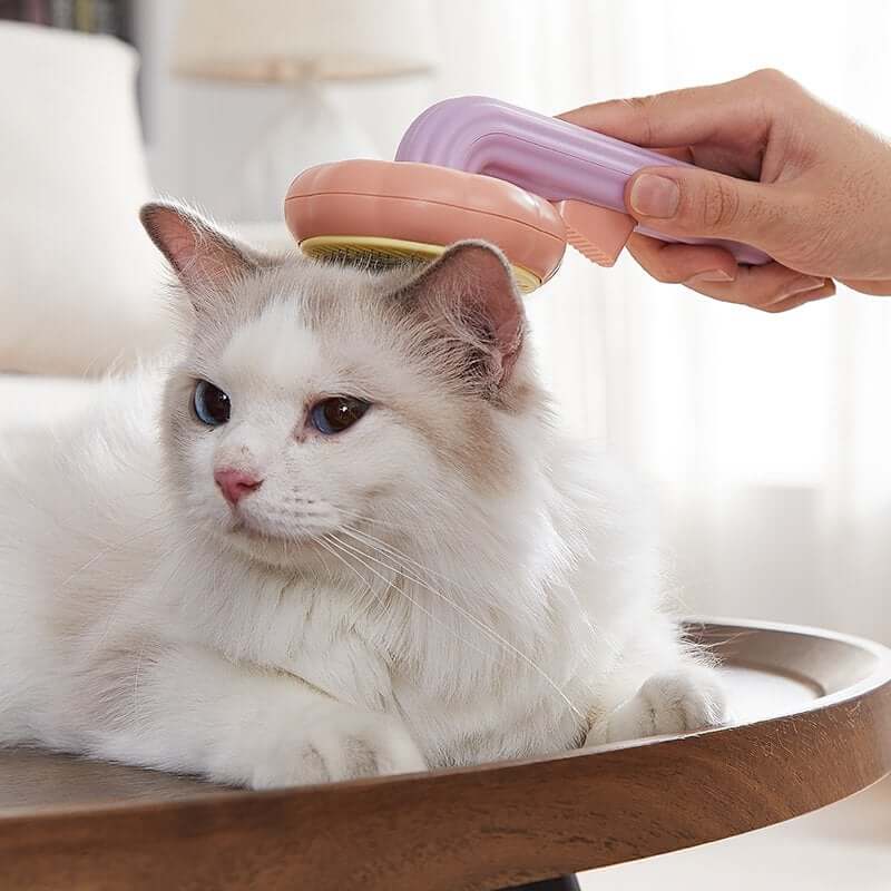 Pumpa Pet Brush