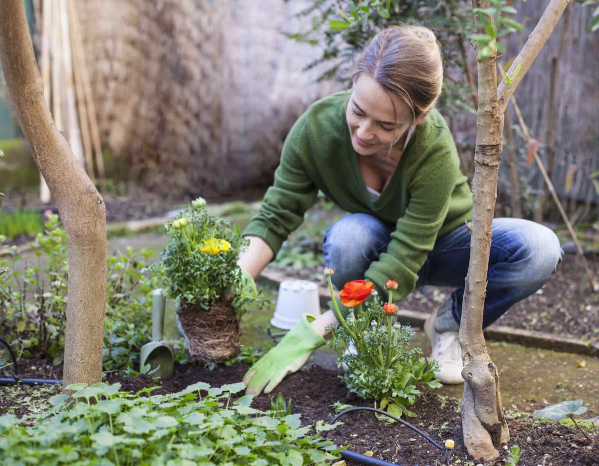 Växtnäringslösning
